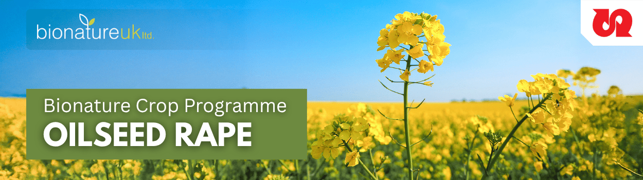 Text & Banner